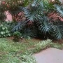 Foto 1:  Projeto Verde Jardinagem